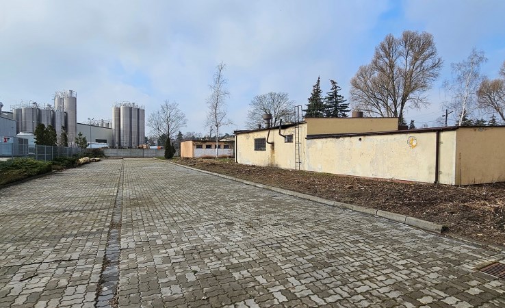 działka na sprzedaż - Kutno, Holenderska