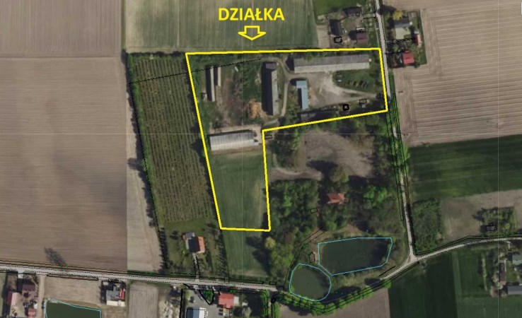 działka na sprzedaż - Krzyżanów, Kaszewy Dworne